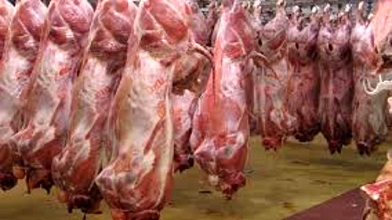 قیمت گوشت گوسفندی کاهشی می‌شود؟/ پیشنهاد عرضه گوشت گرم در کالا برگ