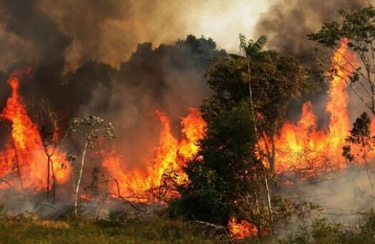 ۶۰هکتار از مراتع و جنگل‌های کوه‌سیاه شهرستان رستم در آتش سوخت