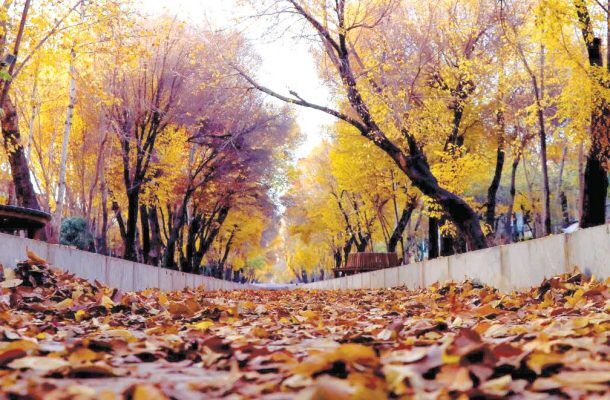 پاییز امسال گرم و کم‌بارش خواهد بود