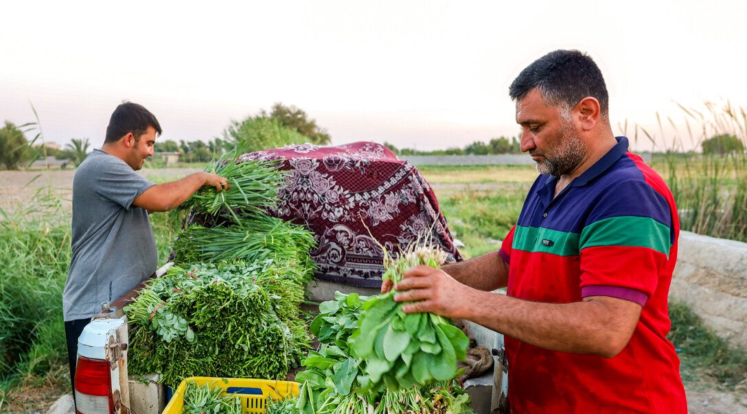 مزرعه خانوادگی