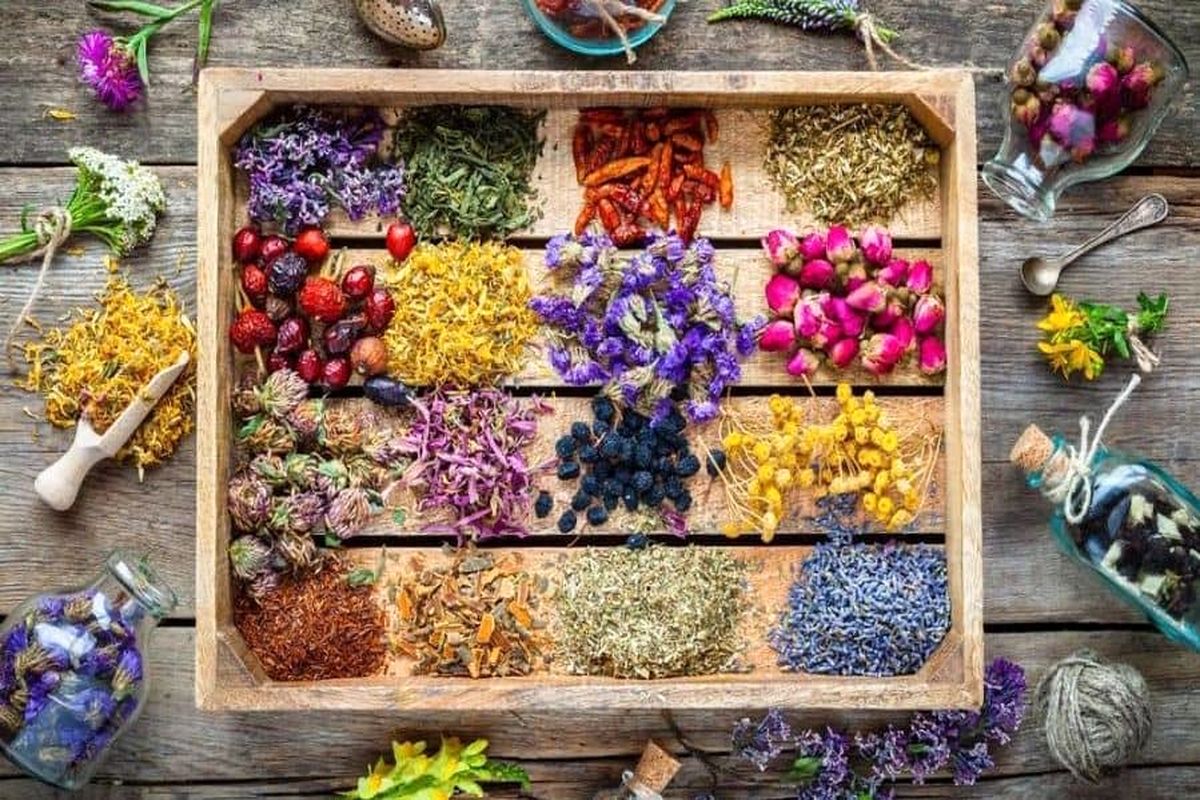 صادرات ۱/۵ میلیون دلاری انواع گیاهان دارویی از فارس