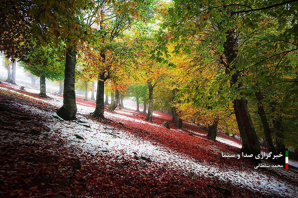 طبیعت مازندران در پاییز هزار رنگ