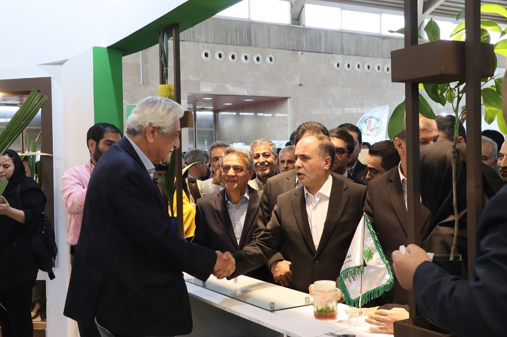 آمادگی مجتمع رعنا برای احیای نخلستان‌ها و باغات گردوی کشور