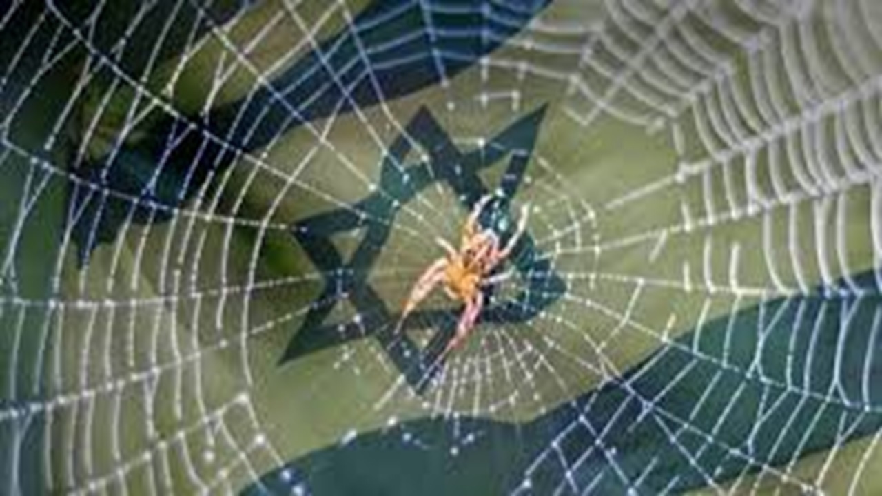 خانه عنکبوت در سراشیبی سقوط!