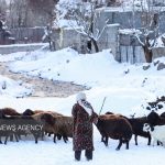 طبیعت برفی روستای لیقوان آذربایجان شرقی در پاییز، روستای لیقوان در آذربایجان شرقی با طبیعت برفی خود در فصل پاییز، مناظری دلپذیر و دیدنی را به نمایش می‌گذارد.