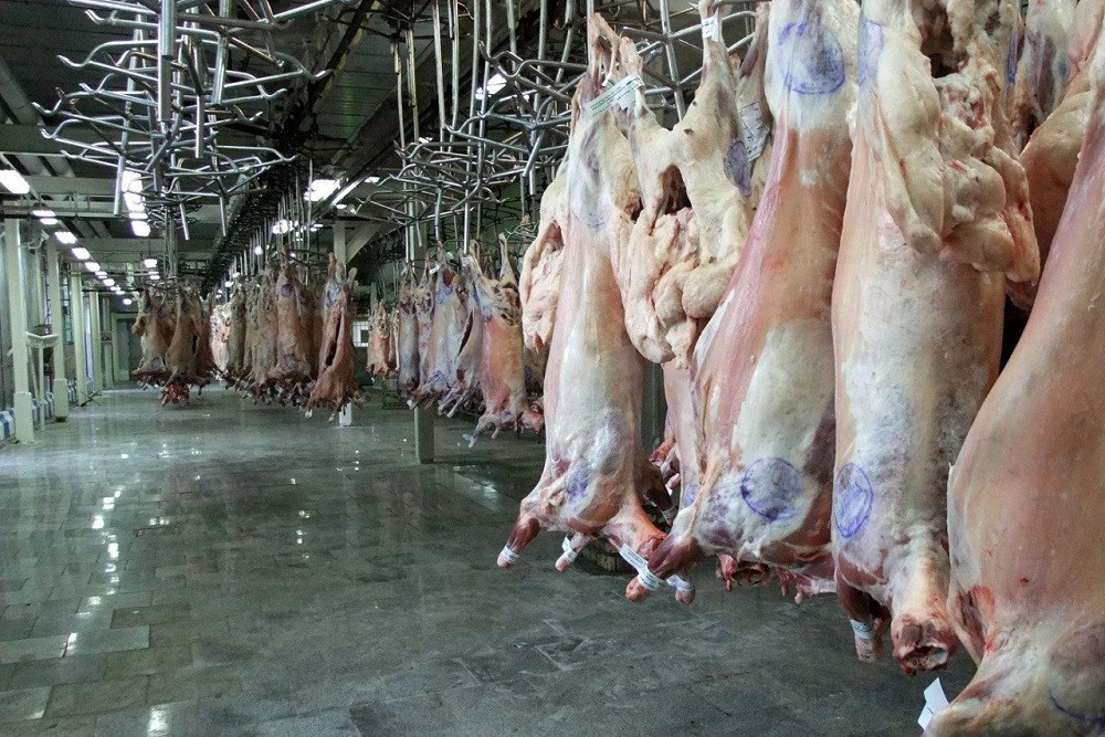 برق کشتارگاه‌ها را قطع نکنید