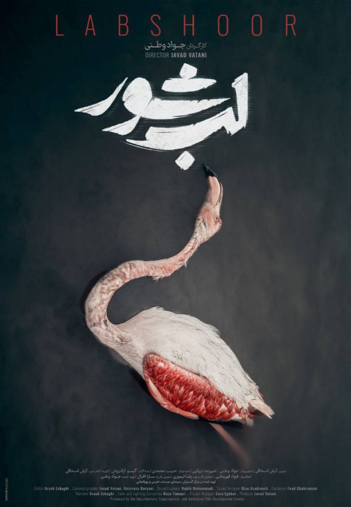 «لب شور»؛ فریادی از آشوراده و میانکاله برای حفاظت از زیست‌بوم‌های ایران