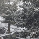 بارش برف در تهران، اداره کل هواشناسی استان تهران ضمن پیش‌بینی تداوم بارش برف و باران در استان تا دوشنبه (اول بهمن‌ماه)،‌ از کاهش دما و تجربه دمای صفر درجه سانتیگراد در پایتخت خبر داد.