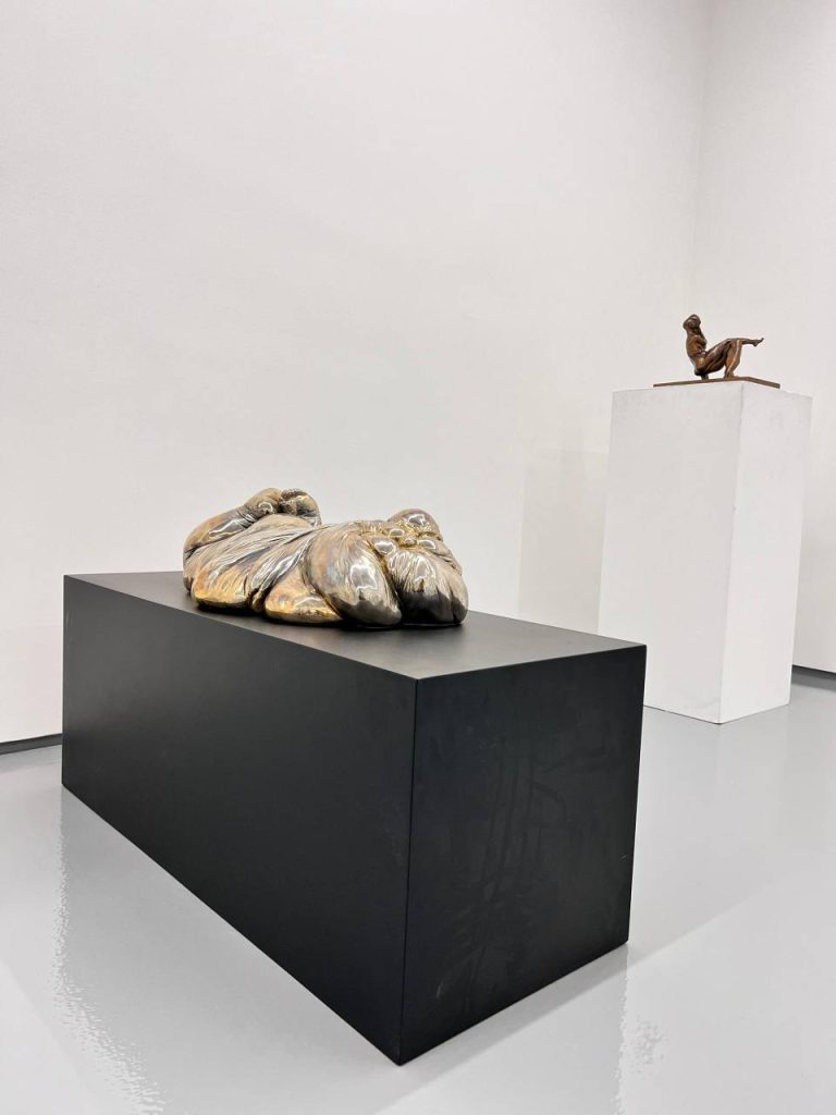 گالری کیمن تا 24 دی ماه میزبان شکافید این جواهر را بیرون جست اندیشه خواهد بود. گالری کیمن درخیابان الهیه، خیابان اخگری،خیابان آناهیتا پلاک 10 واقع شده