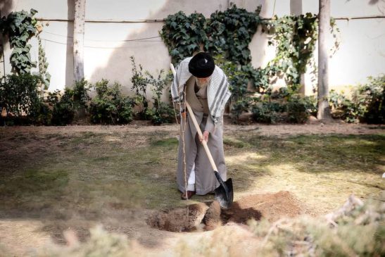 کاشت سه اصله نهال توسط رهبر معظم انقلاب در روز درختکاری