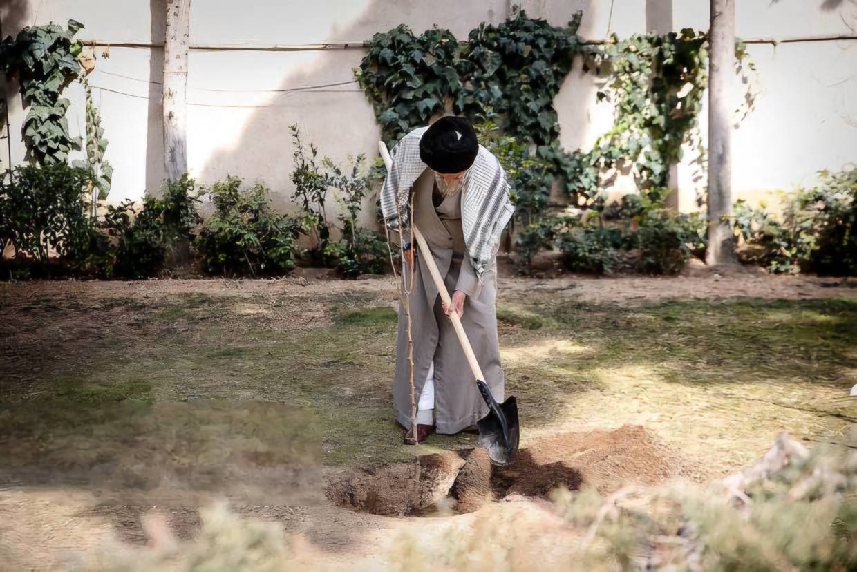 کاشت سه اصله نهال توسط رهبر معظم انقلاب در روز درختکاری