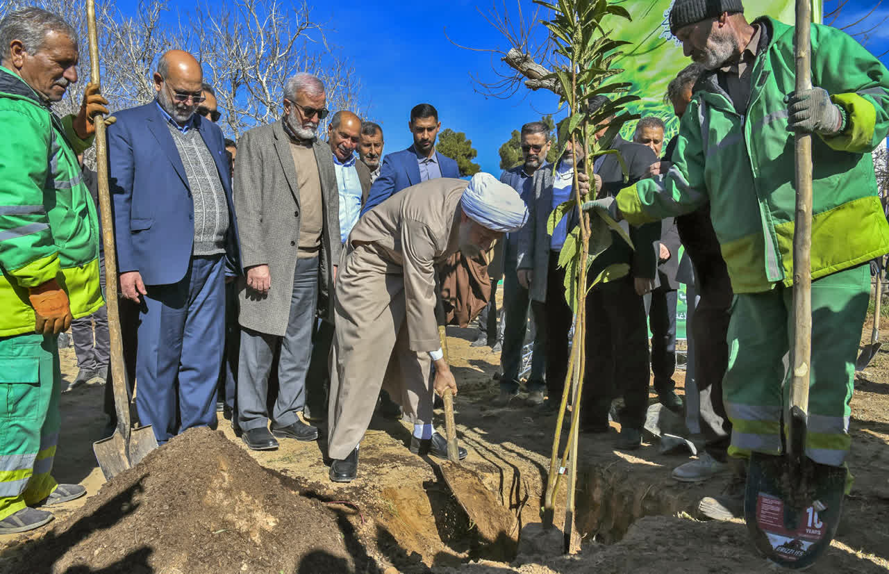با کاشت ۵و نیم میلیون درخت شیراز نفس تازه می‌کند