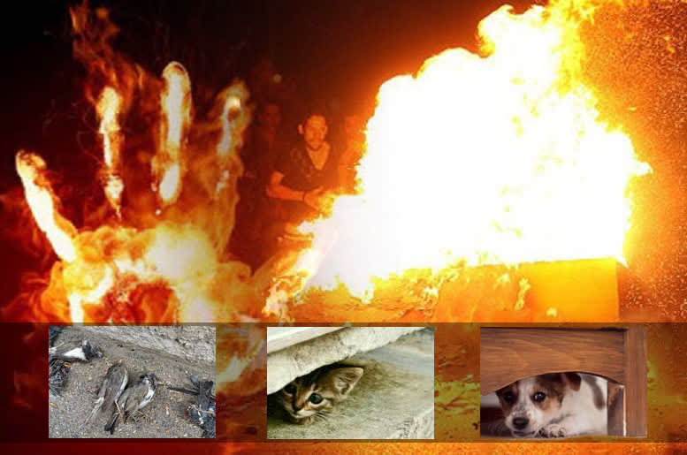 جشن سنگدلان ، عزای نازکدلان 