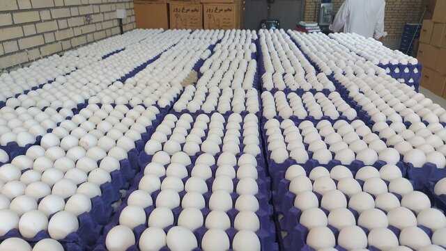 روند کاهشی قیمت تخم‌مرغ در بازار