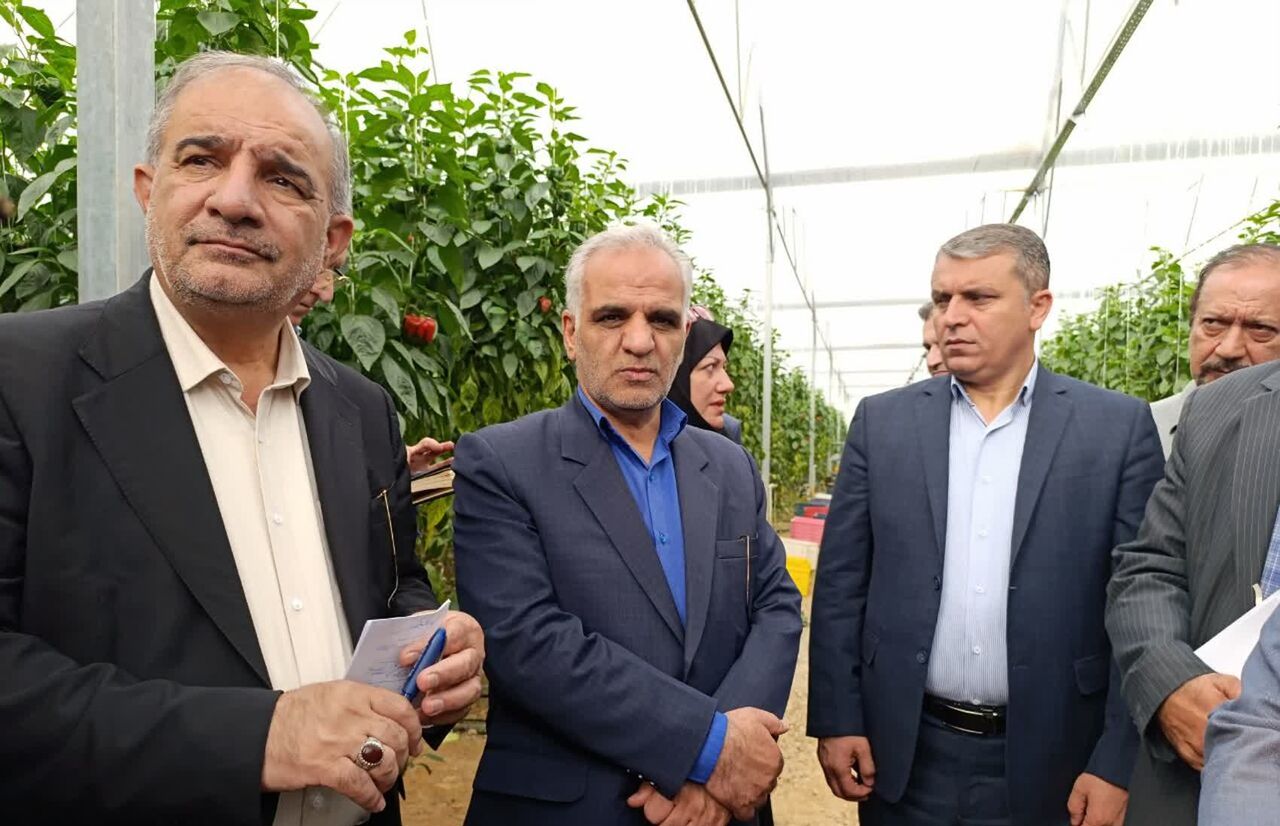 رییس کمیسیون کشاورزی مجلس: حوزه کشاورزی در برنامه هفتم توسعه مورد توجه قرار گرفت