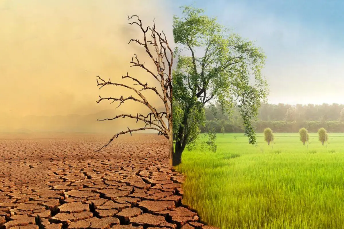 بهاری خشک و تابستانی خشک‌تر