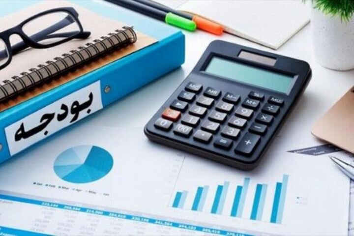 ۸۱ درصد بودجه شرکت‌های دولت صرف هزینه های جاری می شود