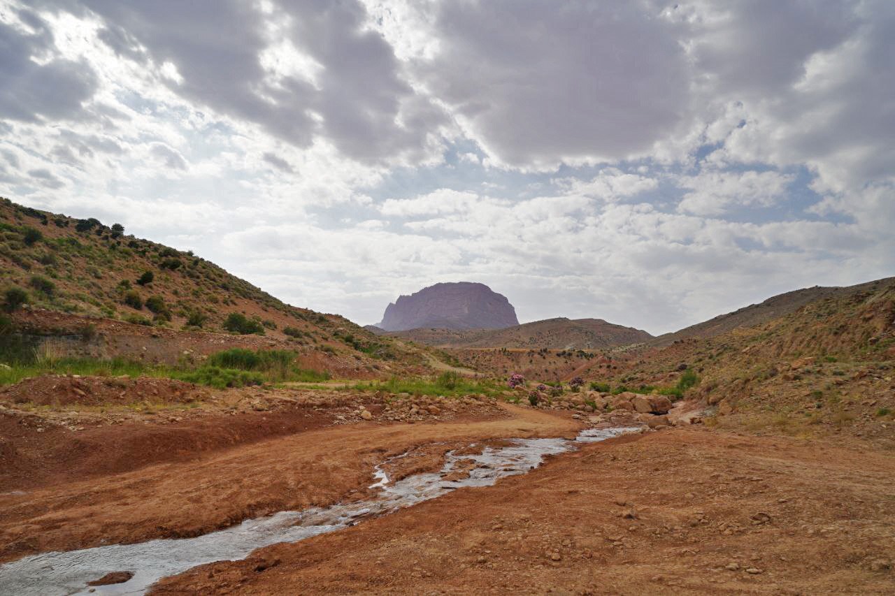سودای مسموم در کریدور هوای پاک شیراز