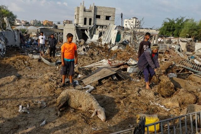 شکیبایی: توقف جنگ در غزه به معنای شکست نتانیاهوست