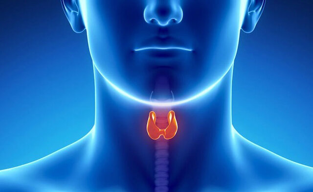 نقش غده تروئید در تنظیم متابولیسم و سلامت روان