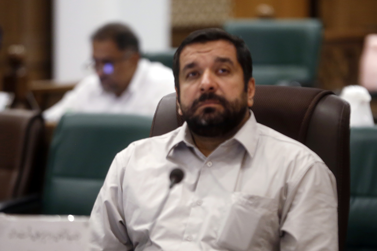 نگین سبز شیراز به تاراج رفت/ قتل عام درختان در مدرسه مهرتابان و رستوران رزگلد