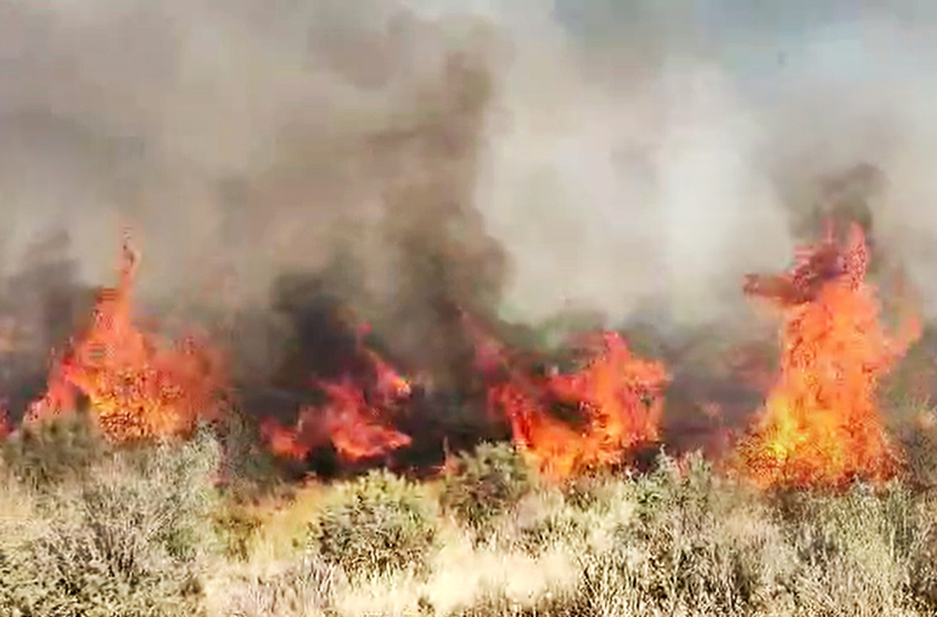 دلم می سوزد و کاری زدستم برنمی آید