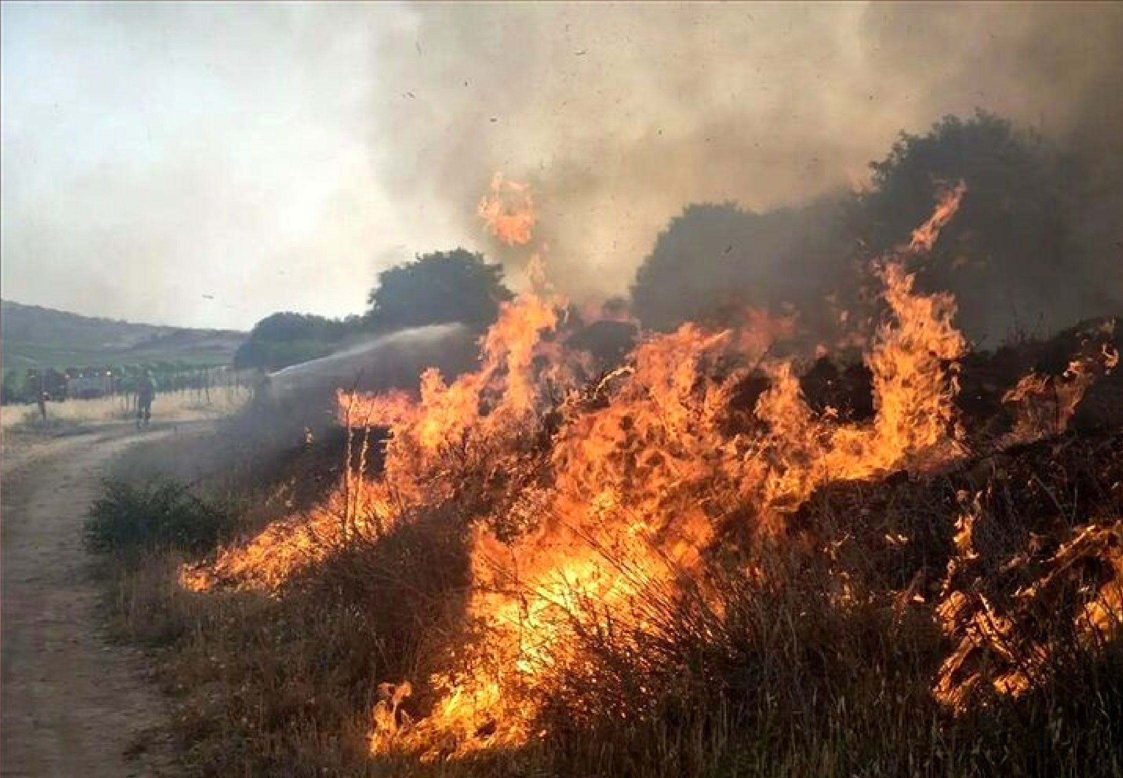 پارک ملی بمو در آتشِ جنگ!