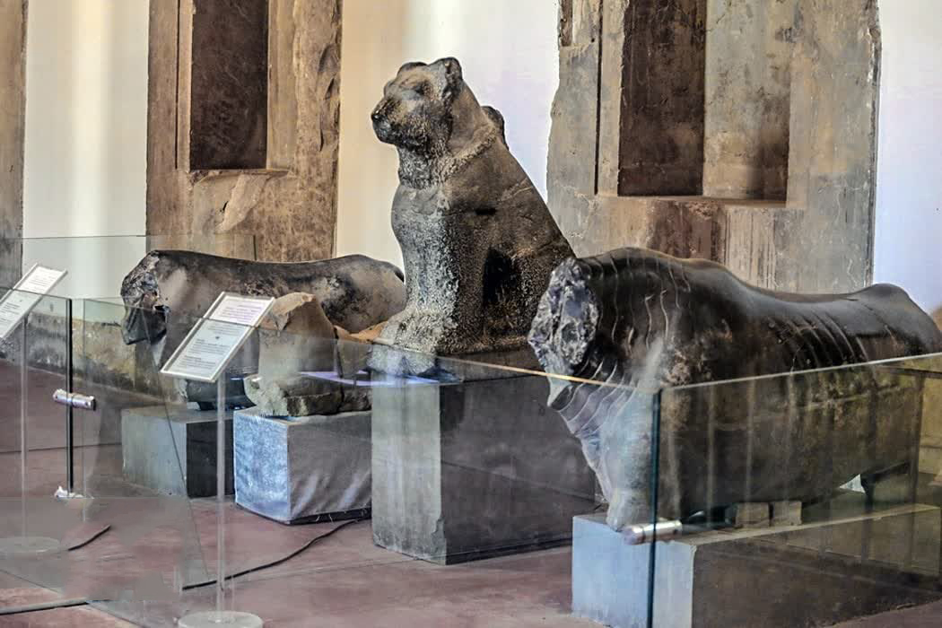 موزه‌ داری زیر آتش جنگ!