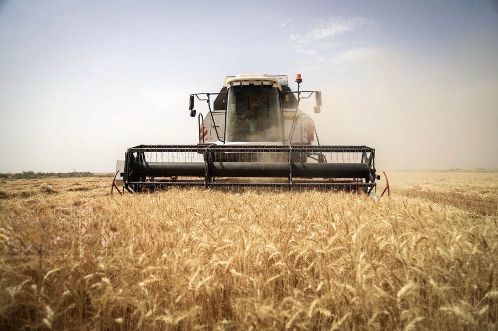 تاخیر در پرداخت پول گندمکاران قابل قبول نیست/ دولت منابع مطمئن‌تری اختصاص دهد