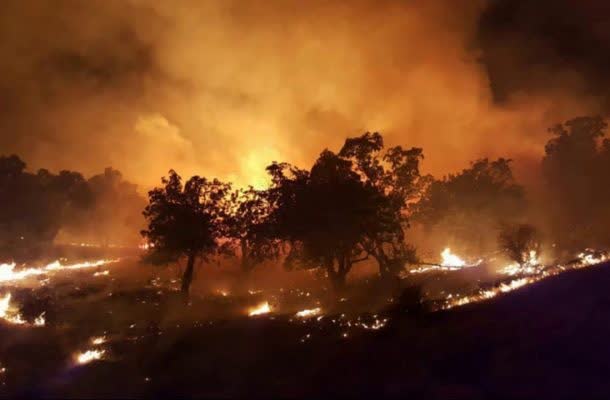 ضجه های عروس سوخته زاگرس در جهان پیچید