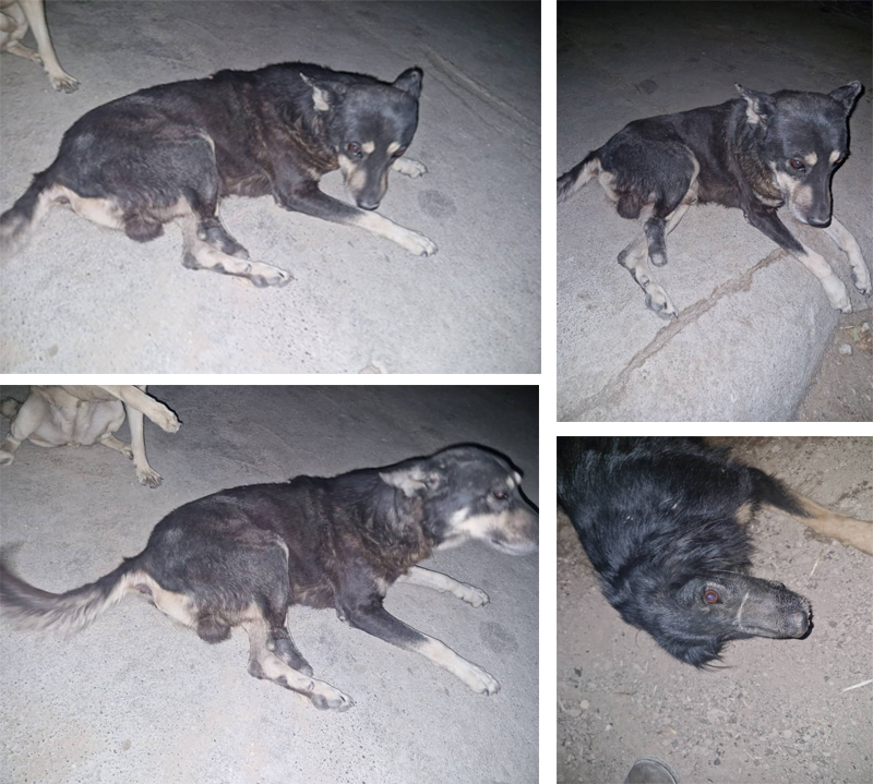 شهر زیرزمینی جادوگران در دیار شعر و گل و بلبل