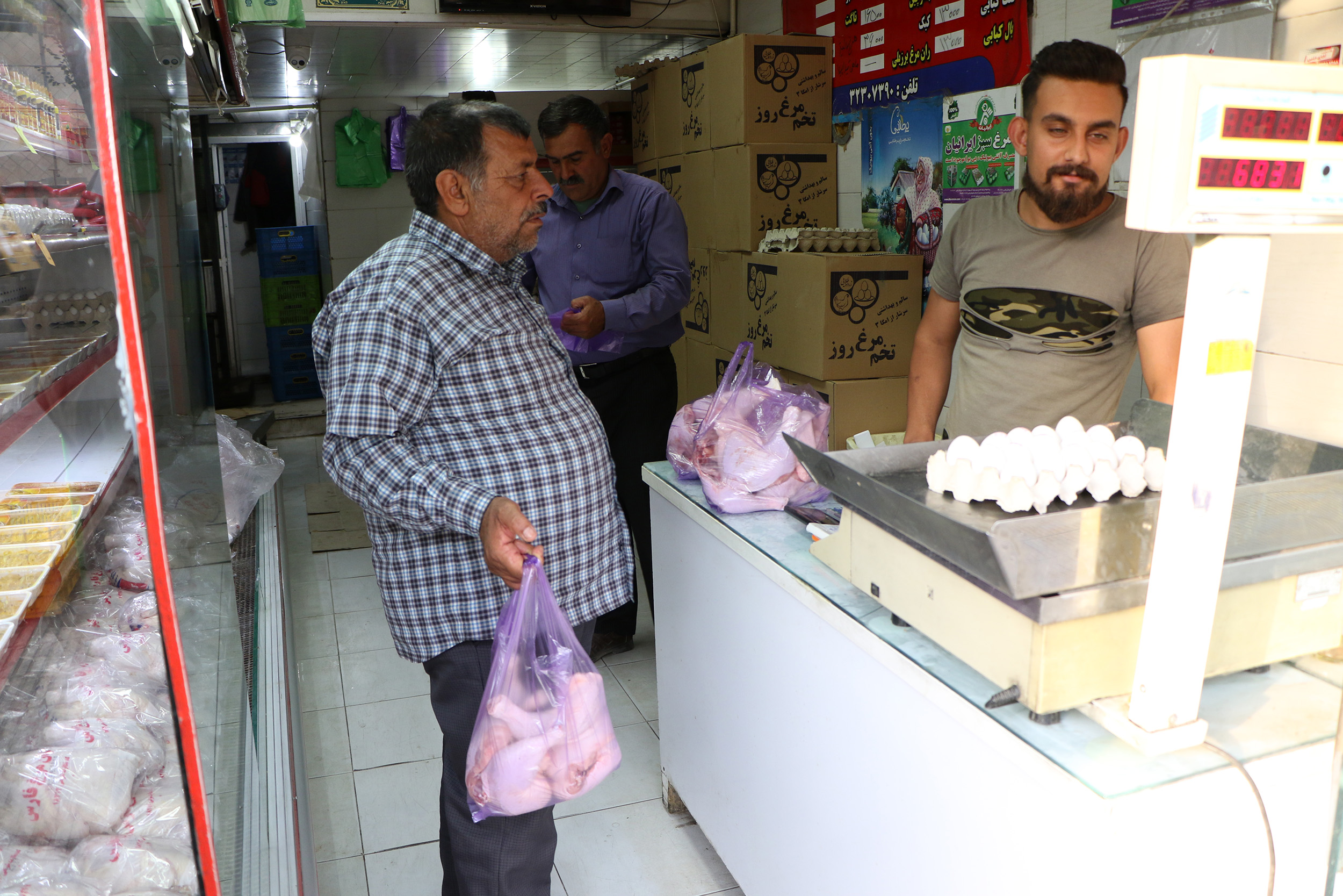 پرواز شوکه کننده مرغ ها در استان فارس 