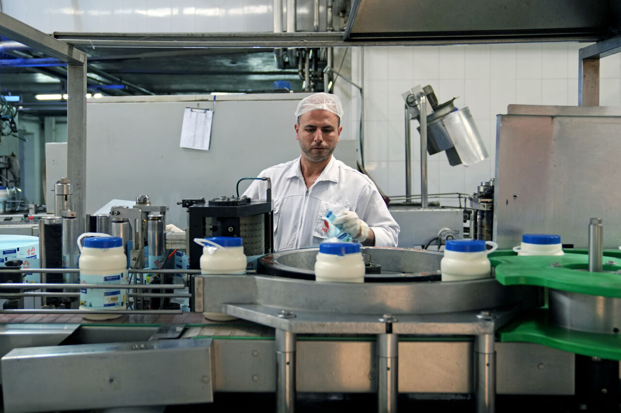 افزایش ۳ برابری نرخ نهاده ها، علت گرانی مجدد شیرخام شد