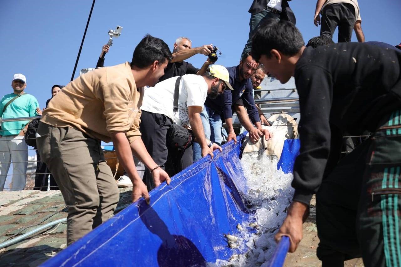 رهاسازی ۵۰ هزار قطعه ماهی کپور در دریاچه شهدای خلیج‌فارس با هدف احیای زیست‌بوم و توسعه گردشگری