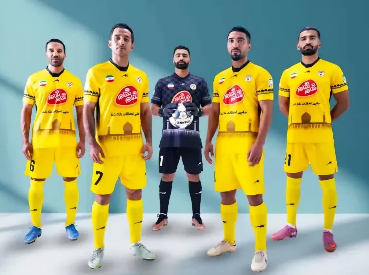 فجر؛ گربه‌ی ملوس خانگی و شیر زخمی بیرون از خانه