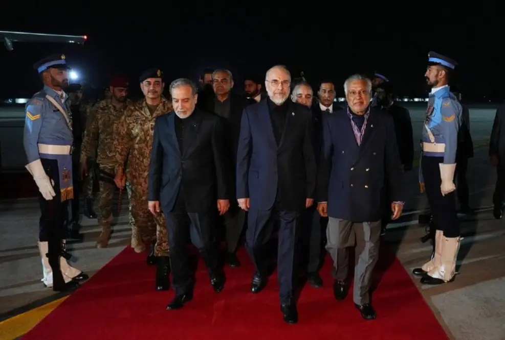 غریب آبادی، اسماعیل بقایی، علی باقری، محمود نبویان، ابوالفضل عمویی، دستیار رئیس مجلس و مهدی محمدی مشاور قالیباف از اعضای هیئت ایرانی در اسلام آباد هستند
