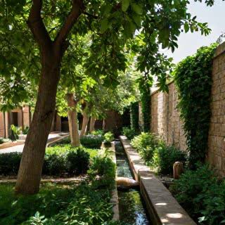 خواب آشفته دزدان آب در شیراز
