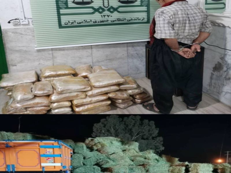ماموران پلیس نی‌ریز موفق شدند در بازرسی از کامیون حامل بار یونجه، 162 کیلوگرم ترياک که به طرز ماهرانه‌ای  جاساز شده بود را کشف کنند.
