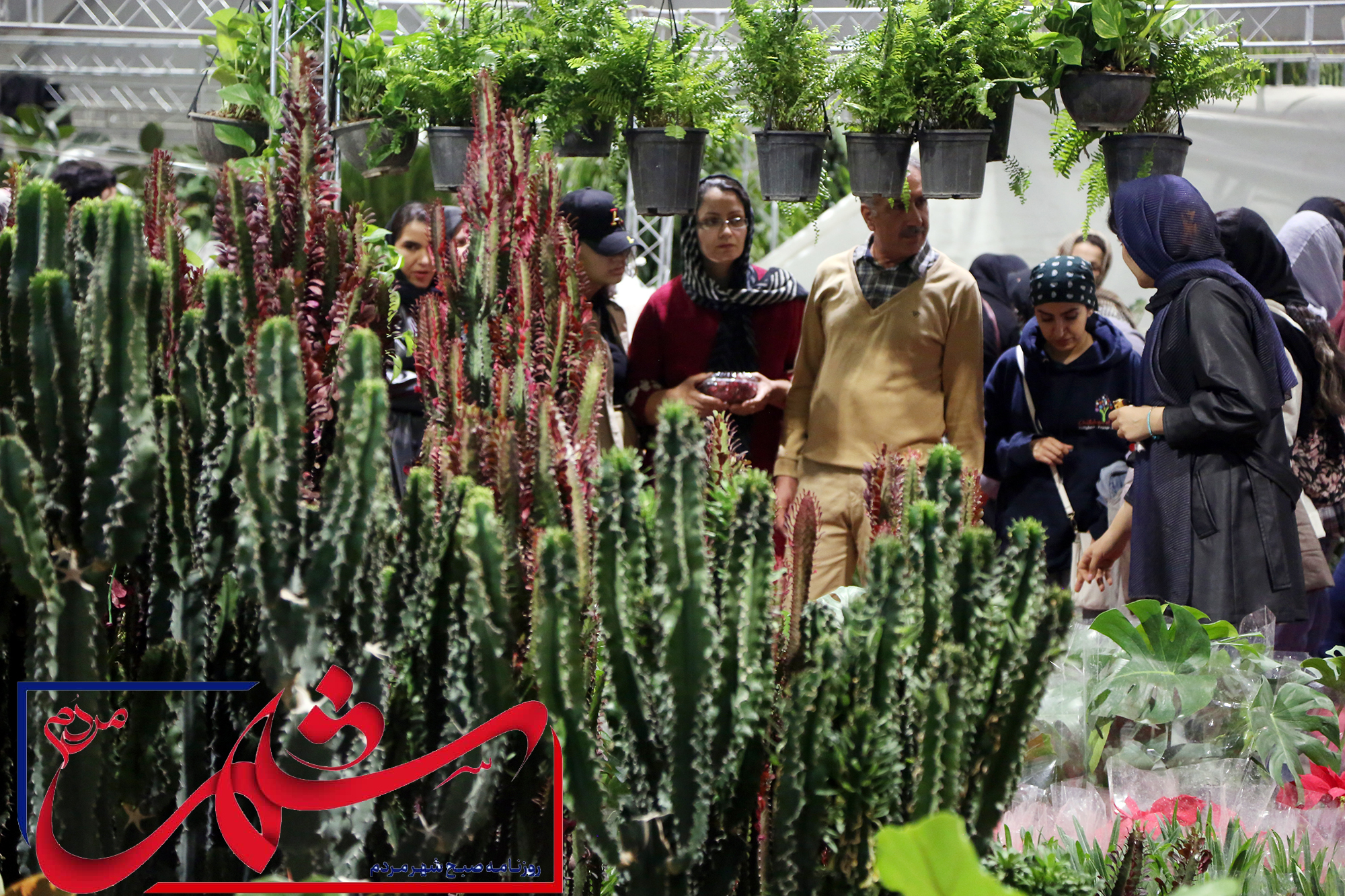 نمایشگاه گل و گیاه شیراز- عکاس: عباس امیری