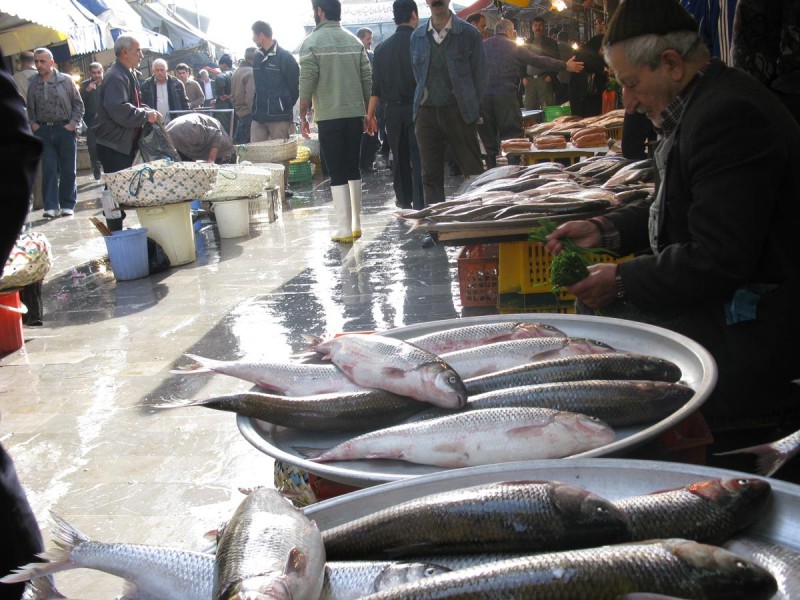 عدم تناسب عرضه و تقاضا، علت افزایش قیمت ماهی/ نظارت‌ها در بازار تشدید شود