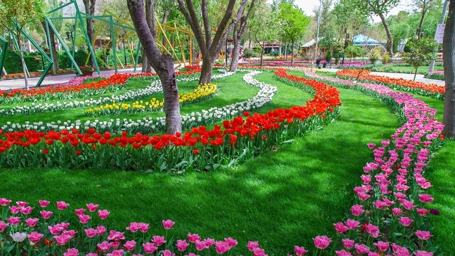 جشنواره لاله های کرج در بهار طبیعت