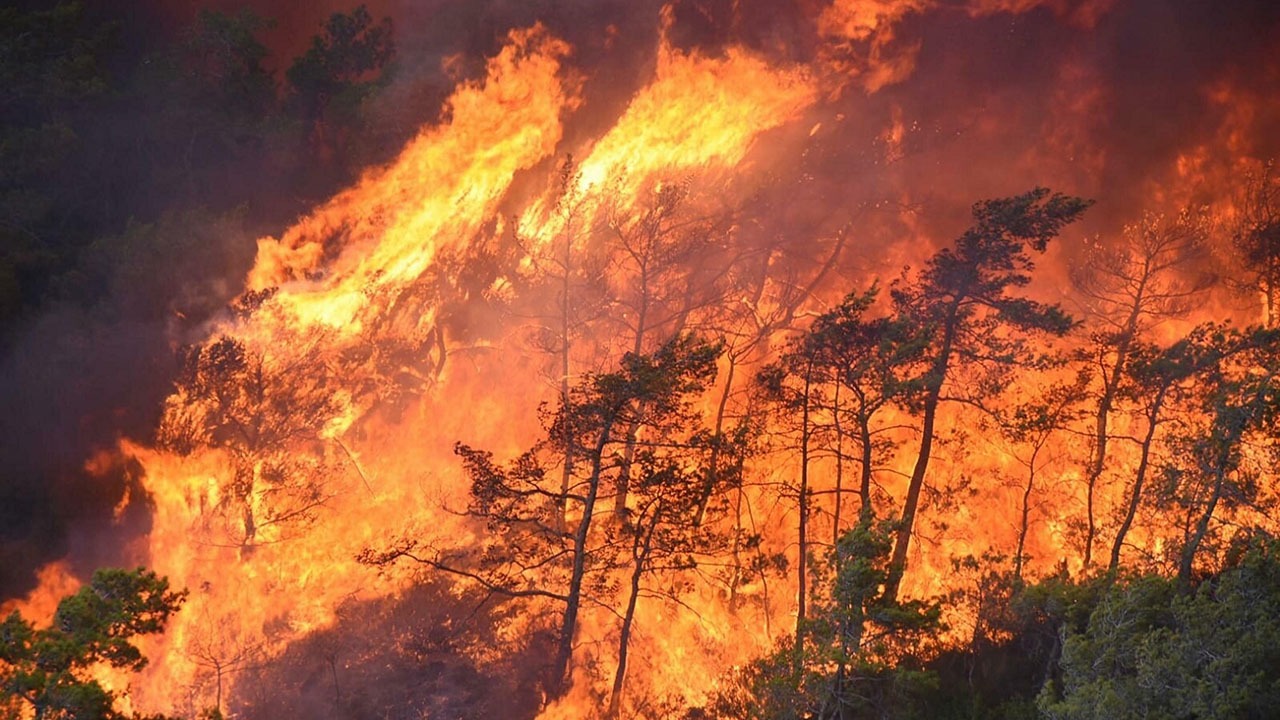 آتش سوزی جنگلی در سه استان ترکیه