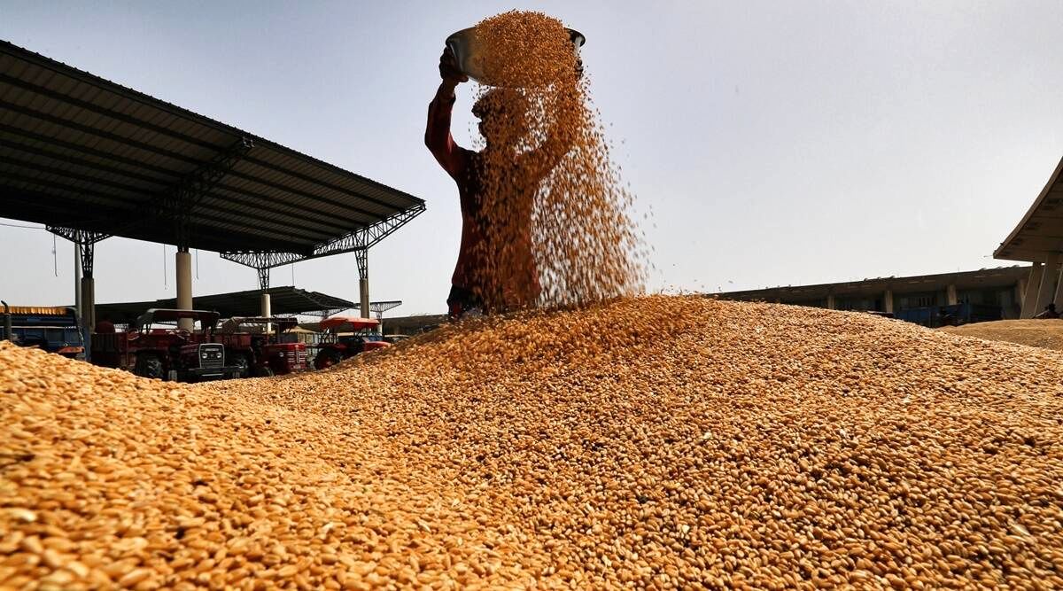مراکز خرید گندم فارس حق دریافت وجه از کشاورزان ندارند