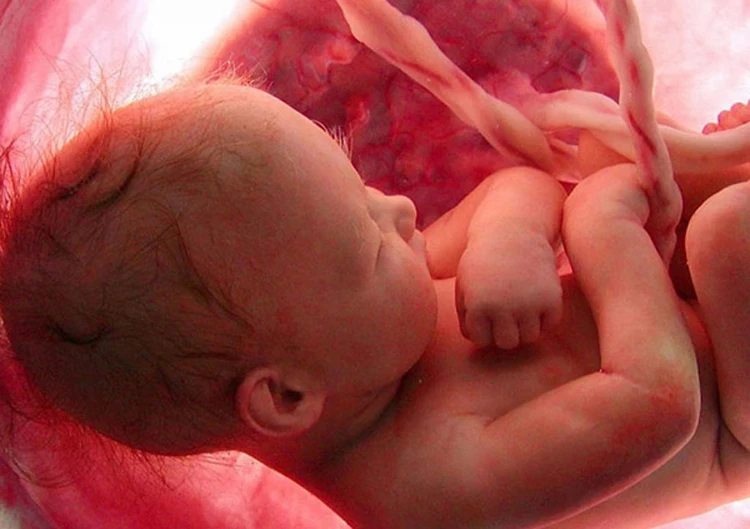 لزوم غربالگری روانی در تخمک و جنین اهدایی